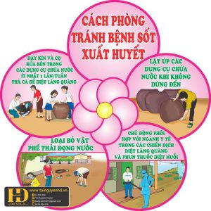 Phòng Tránh Bệnh Sốt Xuất Huyết Mầm Non (36)
