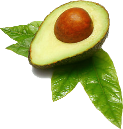 Quả Bơ - Avocado PNG (1)