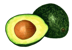 Quả Bơ - Avocado PNG (15)