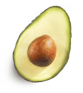 Quả Bơ - Avocado PNG (16)