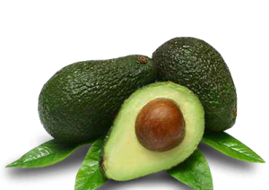 Quả Bơ - Avocado PNG (21)