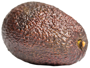 Quả Bơ - Avocado PNG (35)