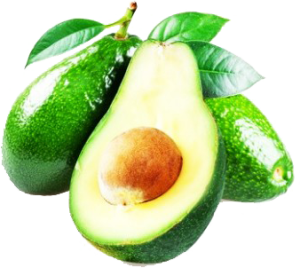 Quả Bơ - Avocado PNG (4)