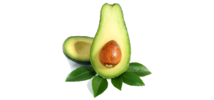Quả Bơ - Avocado PNG (7)