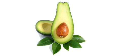 Quả Bơ - Avocado PNG (7)