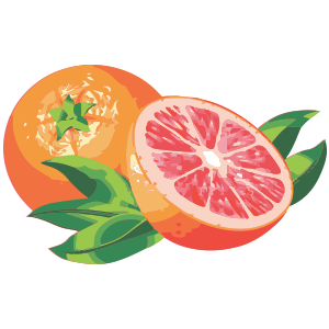 Quả Cam - Fruit Orange PNG (10)