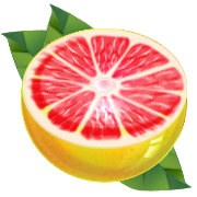 Quả Cam - Fruit Orange PNG (12)