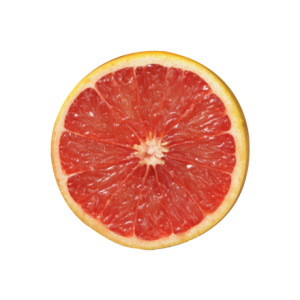Quả Cam - Fruit Orange PNG (13)
