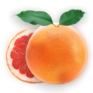 Quả Cam - Fruit Orange PNG (15)