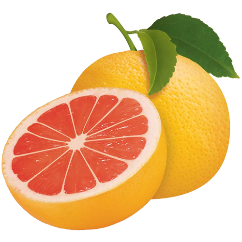 Quả Cam - Fruit Orange PNG (16)