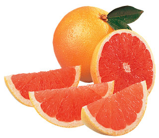 Quả Cam - Fruit Orange PNG (19)