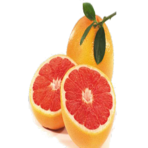 Quả Cam - Fruit Orange PNG (2)