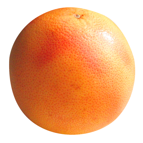Quả Cam - Fruit Orange PNG (25)