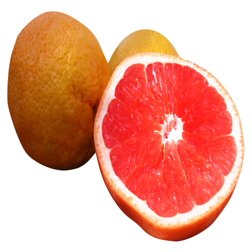 Quả Cam - Fruit Orange PNG (26)