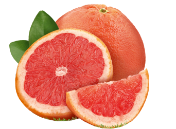 Quả Cam - Fruit Orange PNG (30)
