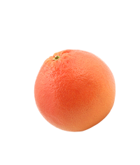 Quả Cam - Fruit Orange PNG (33)