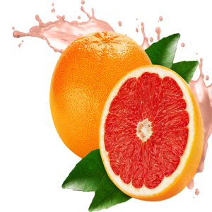 Quả Cam - Fruit Orange PNG (34)