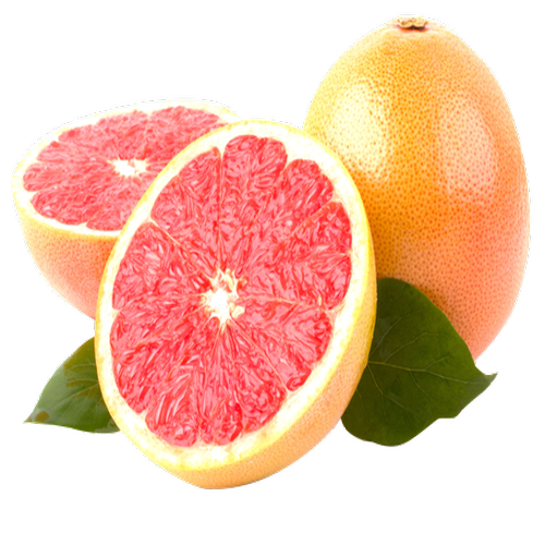 Quả Cam - Fruit Orange PNG (35)