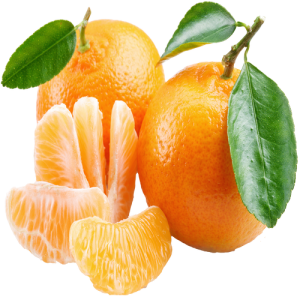 Quả Cam PNG (2)