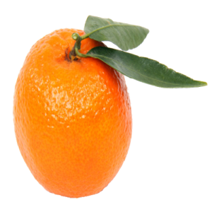 Quả Cam PNG (24)