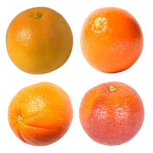 Quả Cam PNG (25)