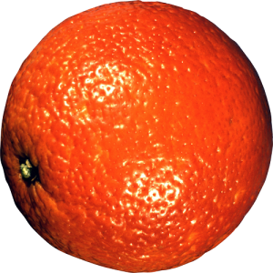 Quả Cam PNG (29)