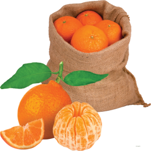 Quả Cam PNG (34)