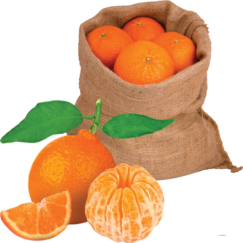 Quả Cam PNG (34)