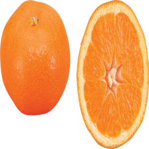 Quả Cam PNG (5)