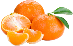Quả Cam PNG (52)