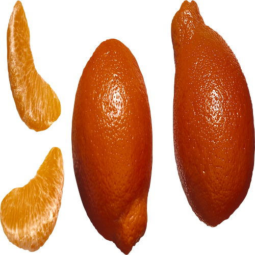 Quả Cam PNG (8)