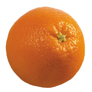 Quả Cam PNG (9)