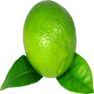 Quả Chanh - Lemon PNG (2)