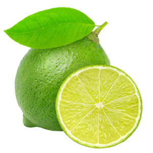 Quả Chanh - Lemon PNG (28)