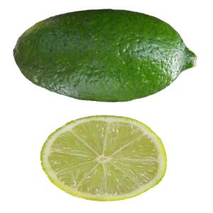 Quả Chanh - Lemon PNG (7)