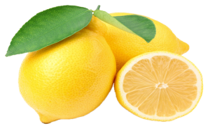 Quả Chanh - lemon 3103 (11)