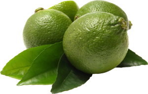 Quả Chanh - lemon 3103 (3)