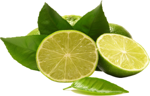 Quả Chanh - lemon 3103 (4)