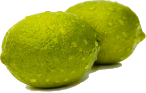 Quả Chanh - lemon 3103 (6)