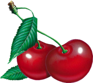 Quả Cherry PNG (11)
