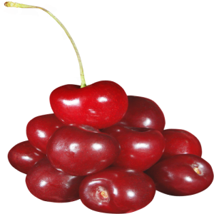Quả Cherry PNG (20)