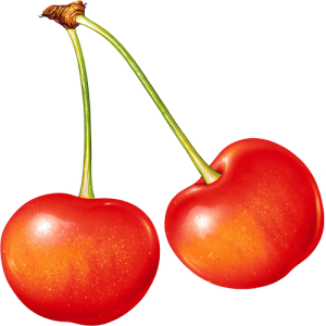 Quả Cherry PNG (24)