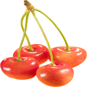 Quả Cherry PNG (25)