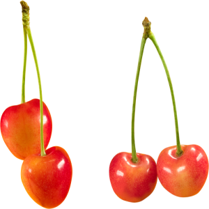 Quả Cherry PNG (27)