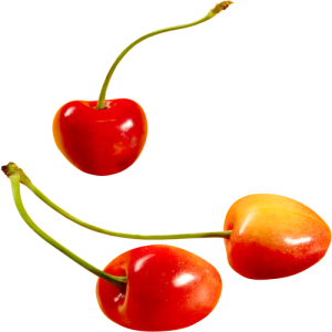 Quả Cherry PNG (28)