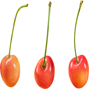 Quả Cherry PNG (29)