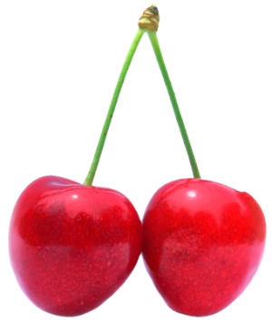 Quả Cherry PNG (7)