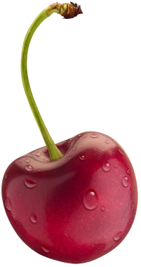Quả Cherry PNG (8)