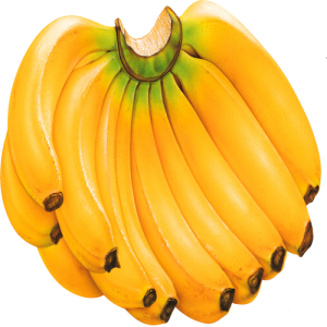 Quả Chuối - Banana PNG (4)