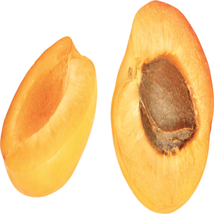 Quả Đào - Apricot (11)